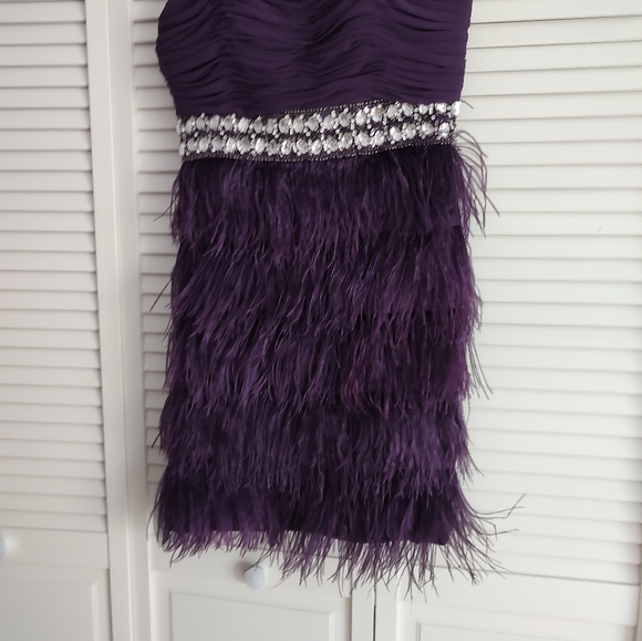 Beautiful feather and Rhinestone Dress - Picture 10 of 11